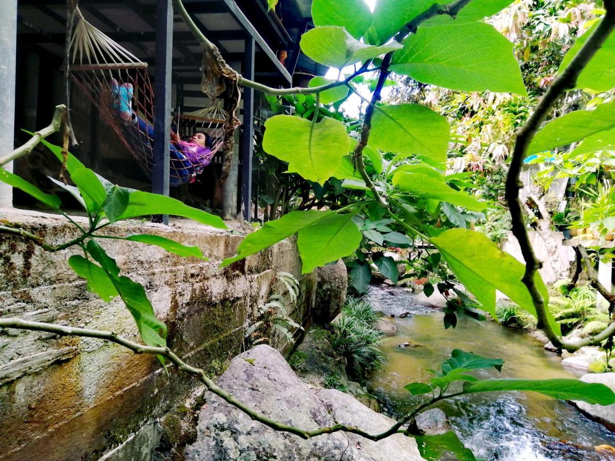 แม่อุ๊ยโฮมสเตย์&Mae Uai Homestay Ban Pok Nai Eksteriør bilde